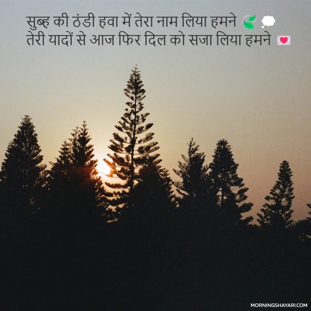 2 Line Shayari On Subah