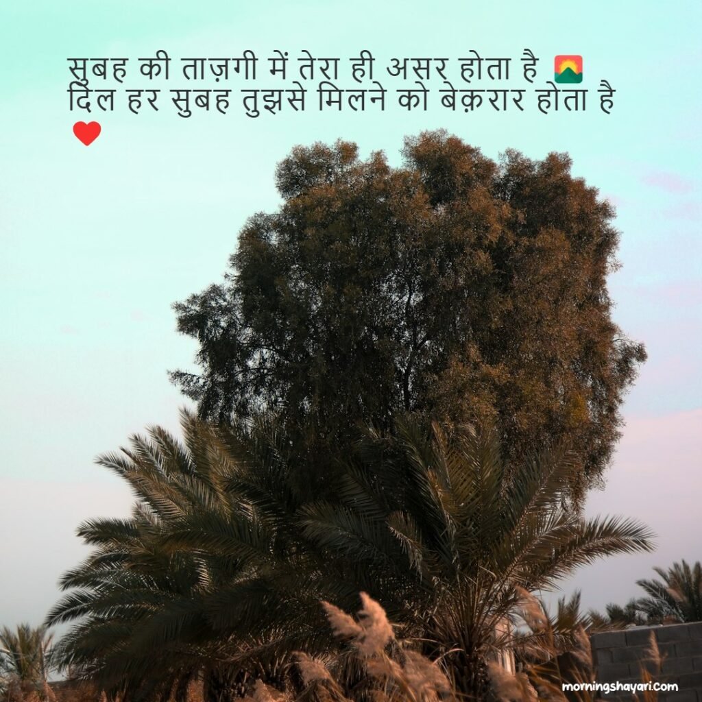 Good Morning Love Shayari