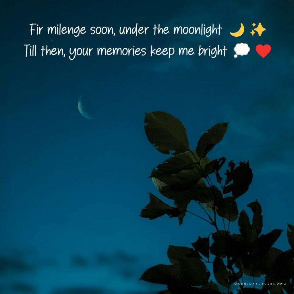 2 Line Fir Milenge Shayari English With Photo