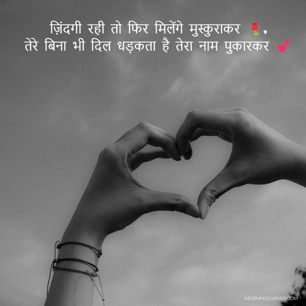 Jindagi Rahi To Fir Milenge Shayari