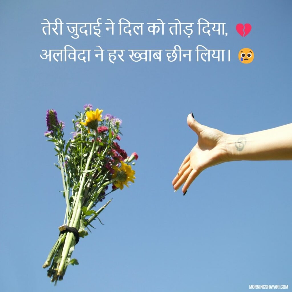 Sad Alvida Shayari In Hindi